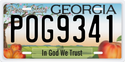 GA license plate POG9341