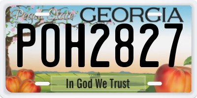 GA license plate POH2827