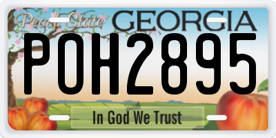 GA license plate POH2895