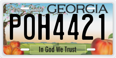 GA license plate POH4421