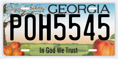 GA license plate POH5545