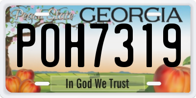 GA license plate POH7319