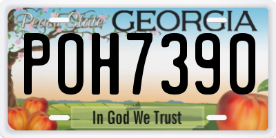 GA license plate POH7390