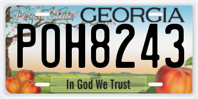 GA license plate POH8243