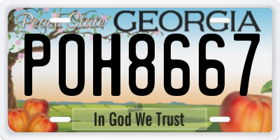GA license plate POH8667