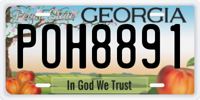 GA license plate POH8891