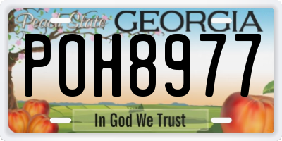 GA license plate POH8977