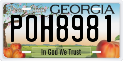 GA license plate POH8981