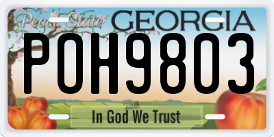 GA license plate POH9803