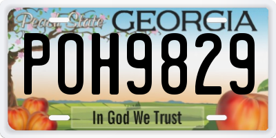 GA license plate POH9829