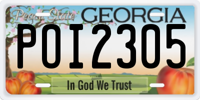 GA license plate POI2305