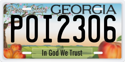 GA license plate POI2306