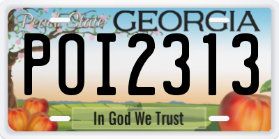 GA license plate POI2313