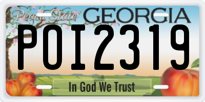 GA license plate POI2319