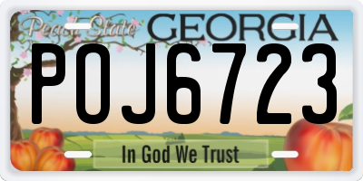 GA license plate POJ6723