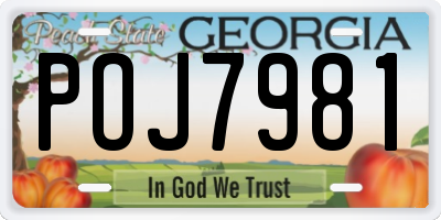 GA license plate POJ7981