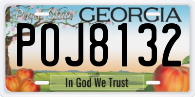 GA license plate POJ8132