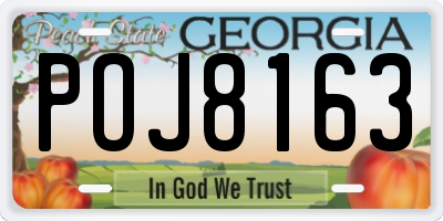 GA license plate POJ8163