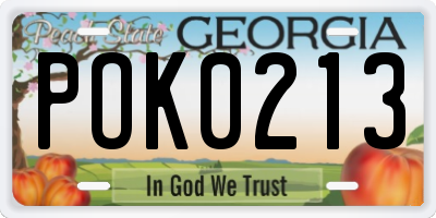 GA license plate POK0213