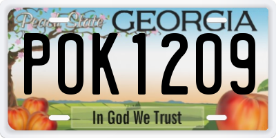 GA license plate POK1209