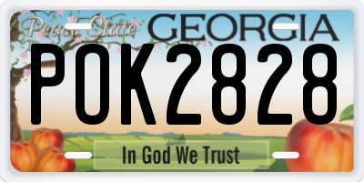 GA license plate POK2828