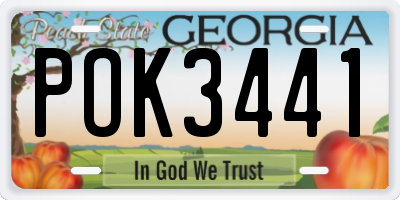 GA license plate POK3441