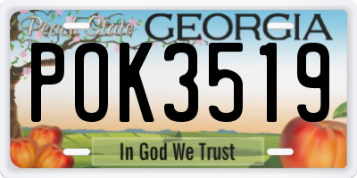 GA license plate POK3519