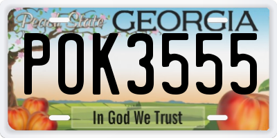 GA license plate POK3555