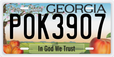 GA license plate POK3907