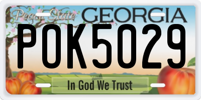 GA license plate POK5029