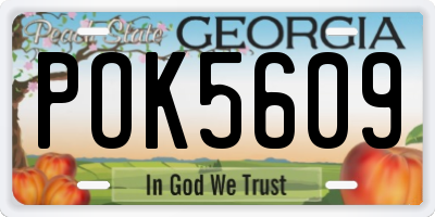 GA license plate POK5609
