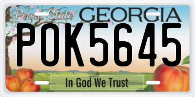 GA license plate POK5645