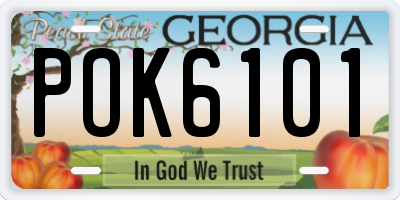 GA license plate POK6101