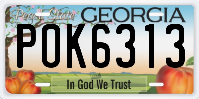GA license plate POK6313