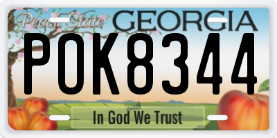 GA license plate POK8344