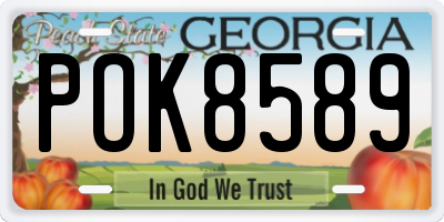 GA license plate POK8589