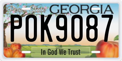 GA license plate POK9087