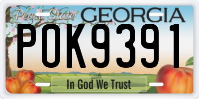 GA license plate POK9391