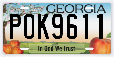 GA license plate POK9611