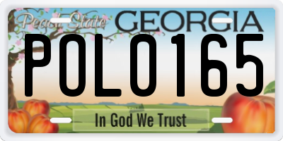 GA license plate POL0165