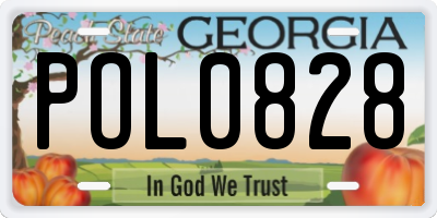GA license plate POL0828