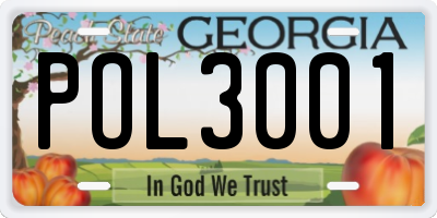 GA license plate POL3001