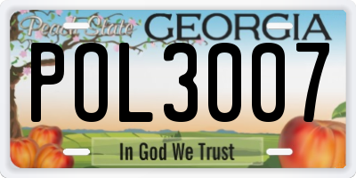 GA license plate POL3007