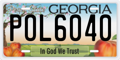 GA license plate POL6040