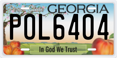 GA license plate POL6404