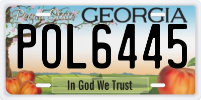 GA license plate POL6445