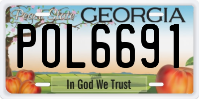 GA license plate POL6691