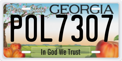 GA license plate POL7307