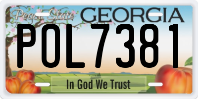 GA license plate POL7381
