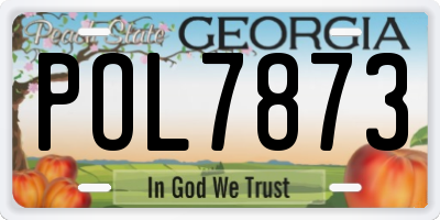 GA license plate POL7873